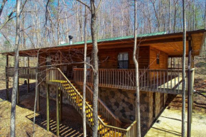 Into the Wild Cabin